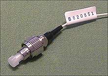 ������������� ���������