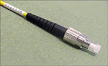 ������������� ���������