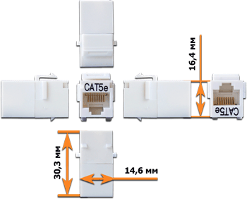 ���� � ������� ������