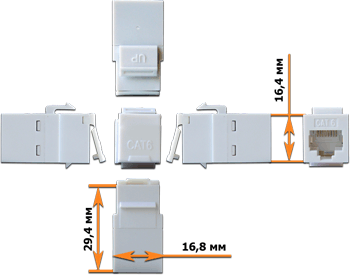 ���� � ������� ������