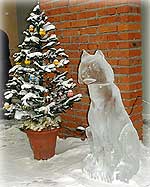 ��� "�����-����"